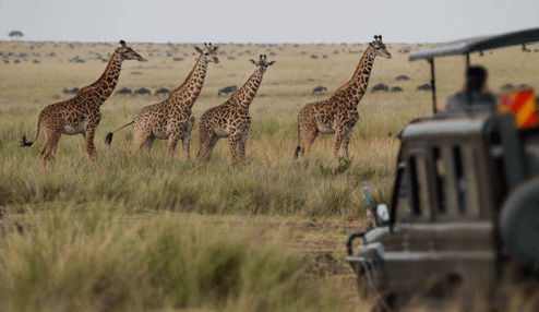 Zanzibar - Tarangire